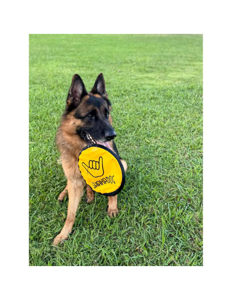 Disco Volador Interactivo Shaka ZippyToss 23 cm Multicolor