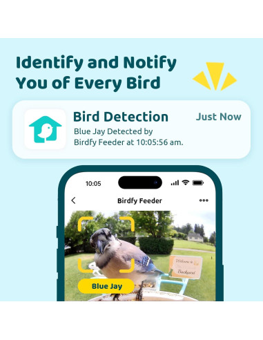 Alimentador Inteligente NETVUE Birdfy Pro con Cámara 1080p