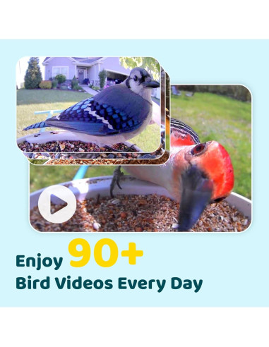 Alimentador Inteligente NETVUE Birdfy Pro con Cámara 1080p