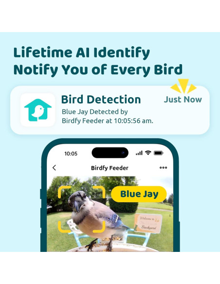 Alimentador de Aves Inteligente NETVUE Birdfy 1.5L Azul Alimentador de Aves Inteligente NETVUE Birdfy 1.5L Azul