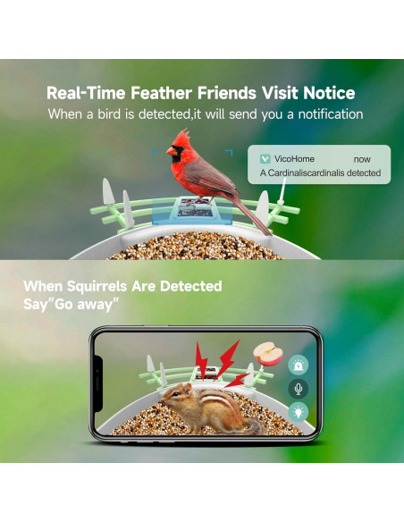 Comedero Inteligente para Aves Aprilmin 2K Carga Solar Verde Comedero Inteligente para Aves Aprilmin 2K Carga Solar Verde