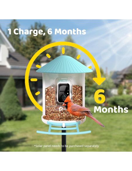 Comedero Inteligente NETVUE Birdfy con Cámara 1.5L Azul Comedero Inteligente NETVUE Birdfy con Cámara 1.5L Azul