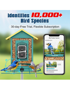 Comedero de Aves PeckCam Metal con Cámara 2K Solar 2
