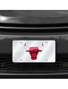 Placa de Licencia Metalica Rico Bulls 15x30 cm Cortada Laser 2