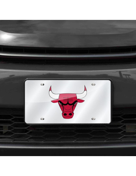 Placa de Licencia Metalica Rico Bulls 15x30 cm Cortada Laser