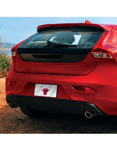 Placa de Licencia Metalica Rico Bulls 15x30 cm Cortada Laser