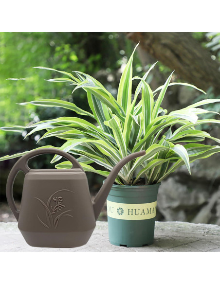 Regadera TTAOE GN 1.89L con Pico Largo para Jardín