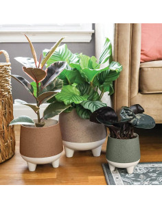 Maceta Autorriego El HC Companies 20 cm Greige Moderna 2