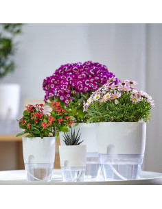 Macetas Autorriego ETGLCOZY 5 Piezas Gris 15,24 cm 2