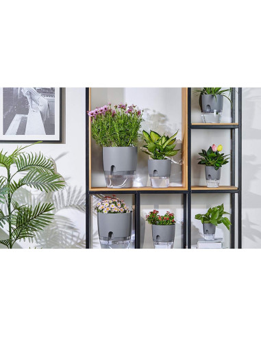 Macetas Autorriego ETGLCOZY 5 Piezas Gris 15,24 cm