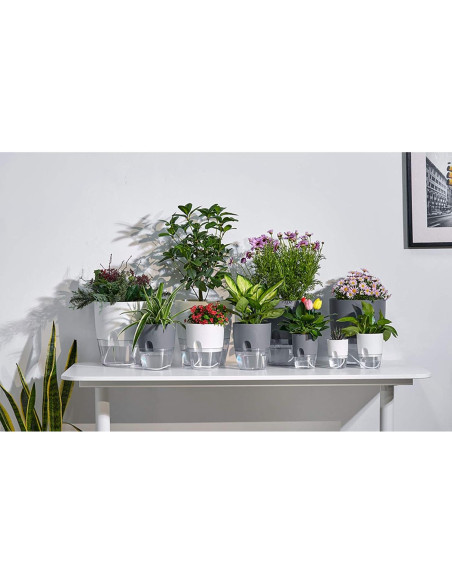 Macetas Autorriego ETGLCOZY 5 Piezas Gris 15,24 cm Macetas Autorriego ETGLCOZY 5 Piezas Gris 15,24 cm