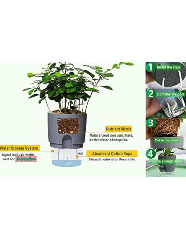 Macetas Autorriego ETGLCOZY 5 Piezas Gris 15,24 cm