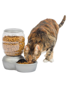 Alimentador Automático Petmate Replendish 2,27 kg Gris