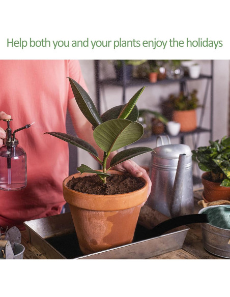 Aulock Almohadilla Riego Automático 2 Pcs 119.89x100.08 cm