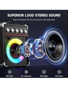 Máquina de Karaoke HWWR TX05 con 2 Micrófonos y Bluetooth 2