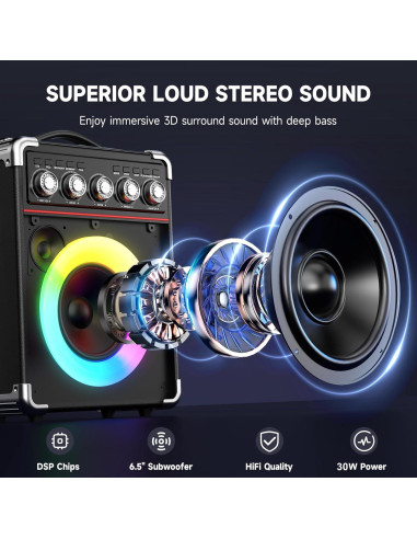 Máquina de Karaoke HWWR TX05 con 2 Micrófonos y Bluetooth