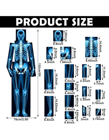 16 Piezas Rayos X Humanos Lineshading Azul para Niños