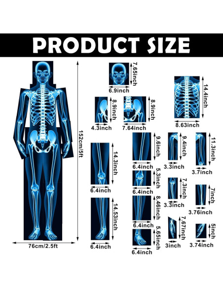 16 Piezas Rayos X Humanos Lineshading Azul para Niños