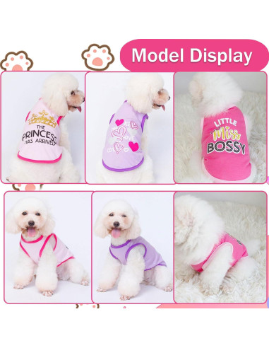 Conjunto 4 Piezas Ropa para Perros Pequeños Rosa