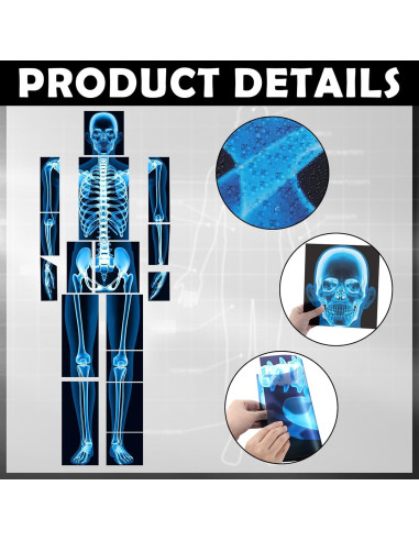 16 Piezas Rayos X Humanos Lineshading Azul para Niños