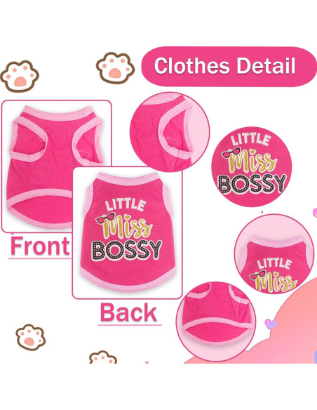 Conjunto 4 Piezas Ropa para Perros Pequeños Rosa Conjunto 4 Piezas Ropa para Perros Pequeños Rosa