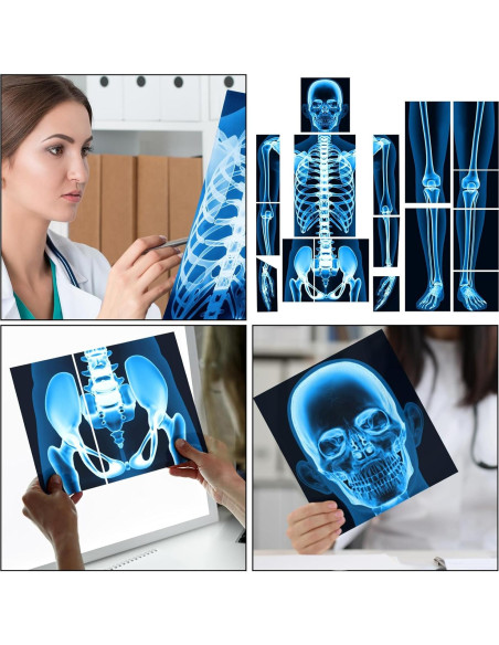 16 Piezas Rayos X Humanos Lineshading Azul para Niños