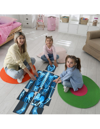 16 Piezas Rayos X Humanos Lineshading Azul para Niños