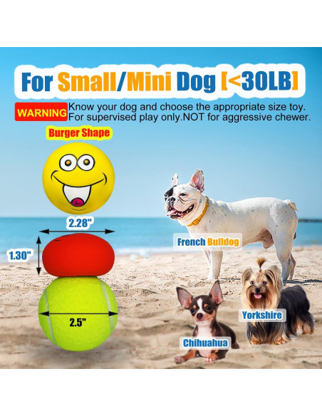 Juguetes de goma para perros HOLYSTEED 6 piezas chirriantes