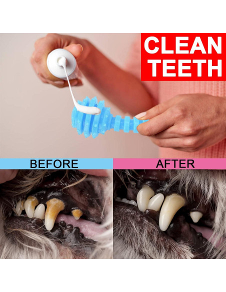 Juguetes para Cachorros CGBD Paquete de 6 Azul Masticar