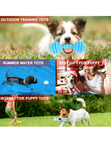 Juguetes para Cachorros CGBD Paquete de 6 Azul Masticar