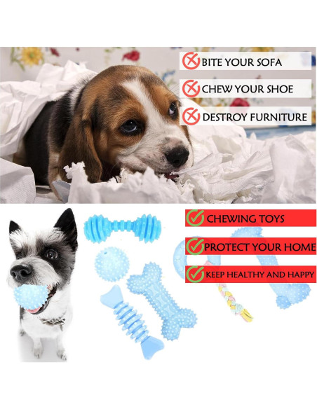 Juguetes para Cachorros CGBD Paquete de 6 Azul Masticar