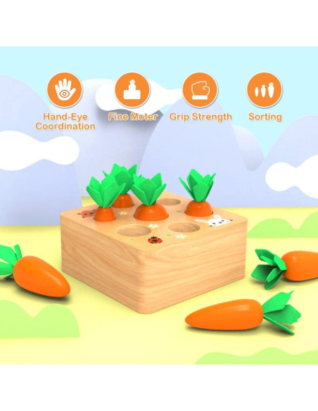Juguete de Madera Wdmiya Zanahorias para Niños 1 Año