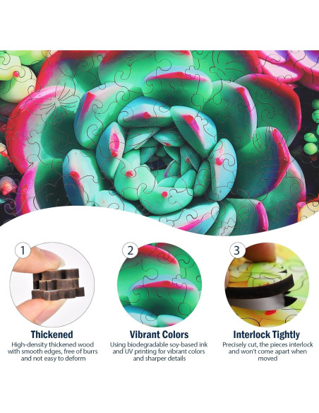 Rompecabezas de Madera Hopelucr Suculentas 200 Piezas 28.3x27.2cm Rompecabezas de Madera Hopelucr Suculentas 200 Piezas 28.3x27.2cm