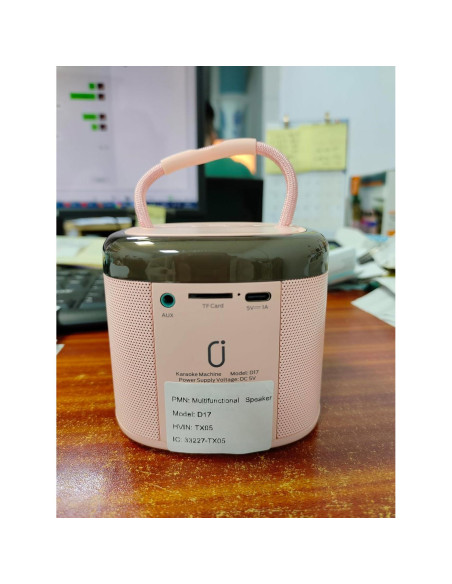 Mini Máquina de Karaoke HWWR Rosa 2 Micrófonos Inalámbricos