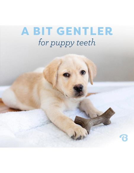 Benebone Juguete Masticable Cachorros Maplestick Sabor Arce