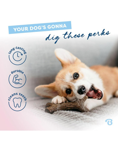 Benebone Juguete Masticable Cachorros Maplestick Sabor Arce