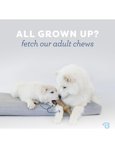 Benebone Juguete Masticable Cachorros Maplestick Sabor Arce