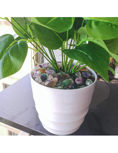 Keedolla Chips de Fluorita Pulidos 0.42 kg para Acuarios