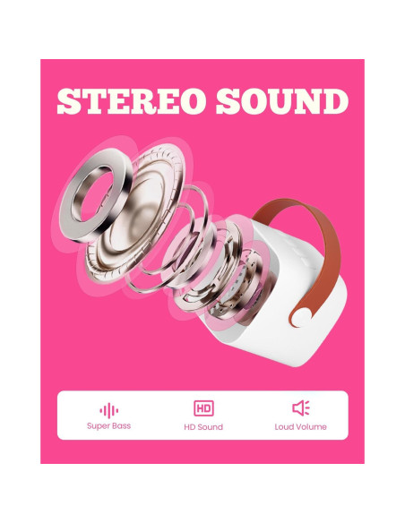 Mini máquina de karaoke VERKB con 2 micrófonos inalámbricos