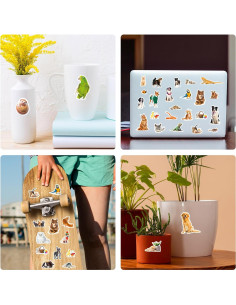 Pegatinas de Animales Genérico 660 Piezas Decorativas 2