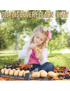 Kit de Excavación de Huevos de Dinosaurio Woumserta 12 Piezas 2
