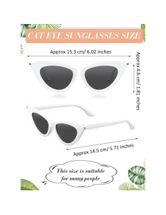 Gafas de Sol Retro Ojo de Gato Leinuosen 8 Pares Coloridas 2