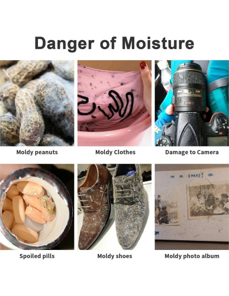 Paquetes de Gel de Sílice 20g - 80 Pcs Desecante Seguro para Alimentos