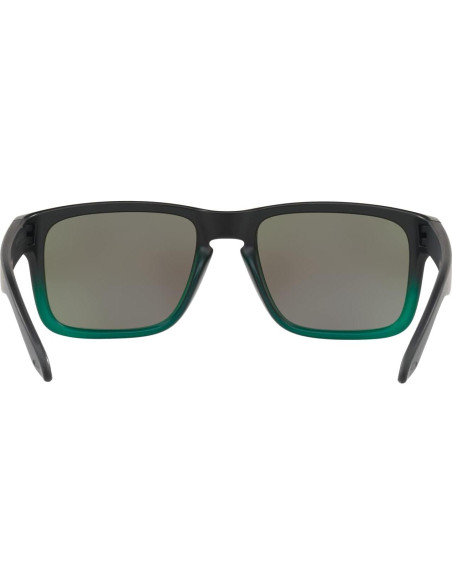 Gafas de sol Oakley Holbrook + Accesorios incluidos