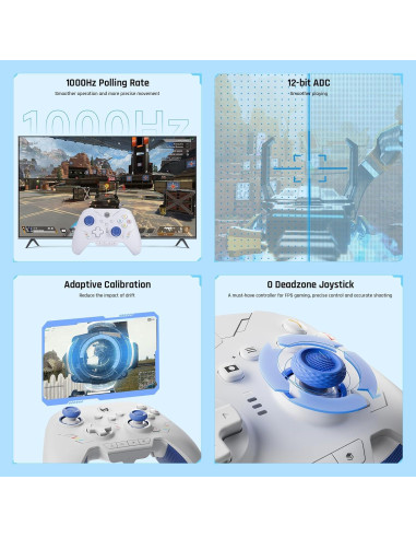 Controlador Inalámbrico BIGBIG WON Rainbow 2 SE para PC