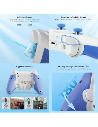 Controlador Inalámbrico BIGBIG WON Rainbow 2 SE para PC