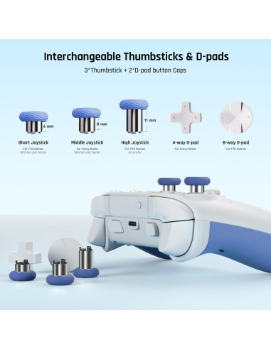 Controlador Inalámbrico BIGBIG WON Rainbow 2 SE para PC