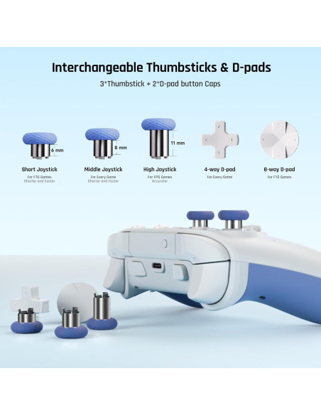 Controlador Inalámbrico BIGBIG WON Rainbow 2 SE para PC
