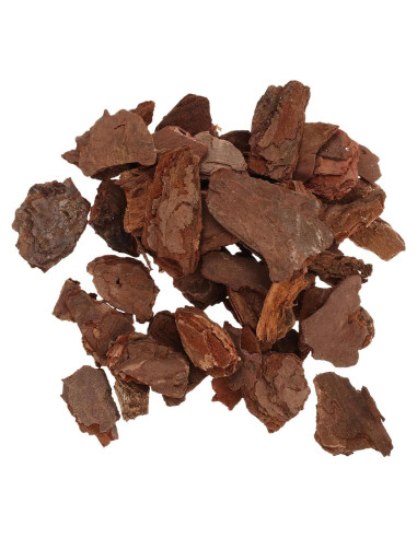 Kit de Diorama COHEALI - Material de Corteza de Árbol 20x12cm