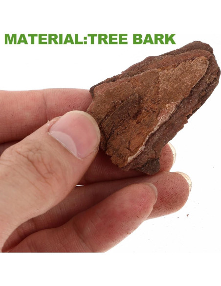 Kit de Diorama COHEALI - Material de Corteza de Árbol 20x12cm